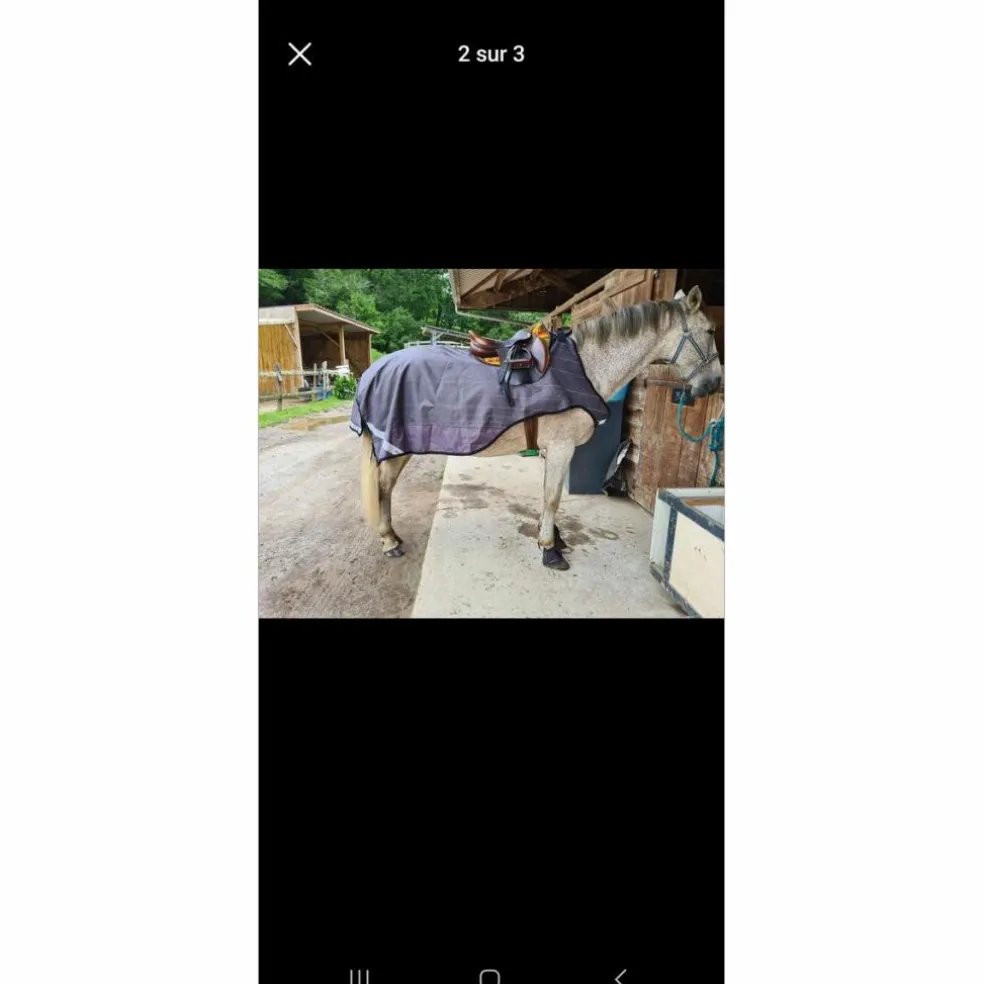 Couvre reins Horseware