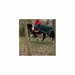 Couvre reins vert forêt Félix Buhler