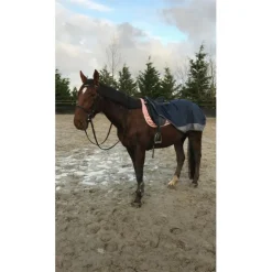 Couvre-reins