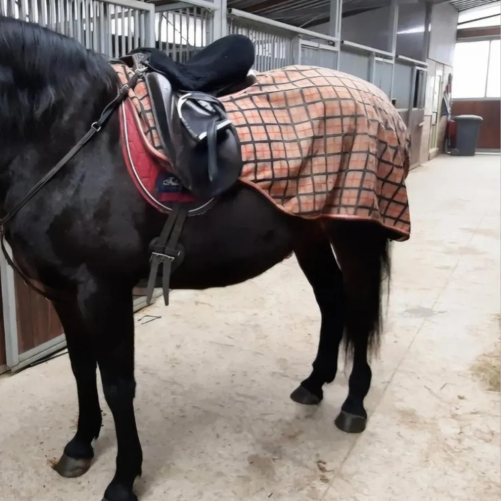 Couvre-Reins Qualitatif et imperméable, 150 cm