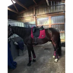 Custom saddlery Icon Flight dressage saddle