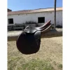 CWD