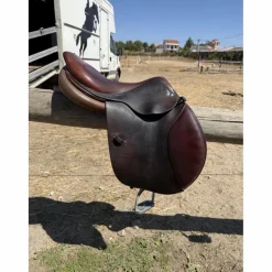 CWD