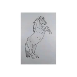 Dessin sur commande