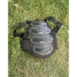 Dorsal