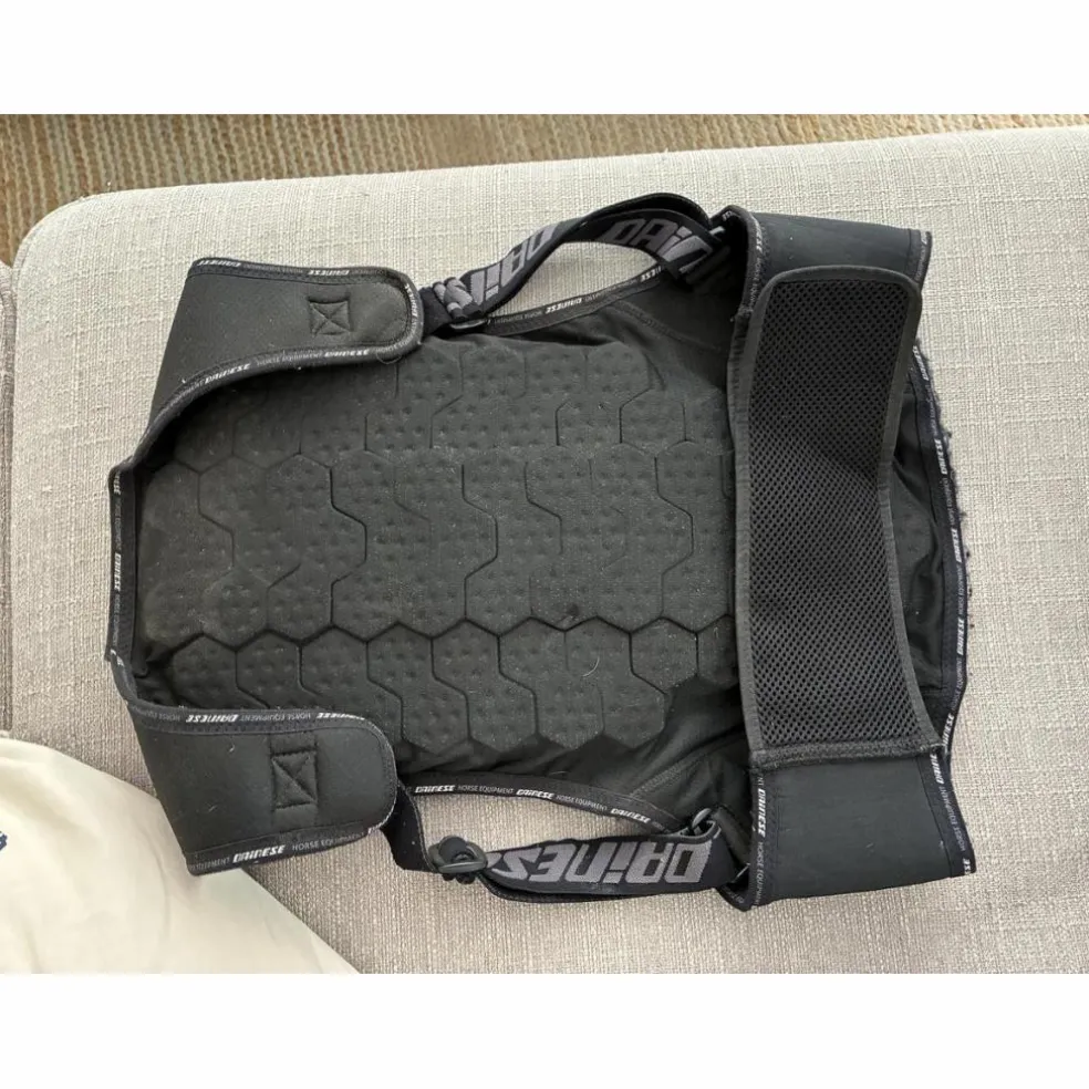 Dorsale Dainese