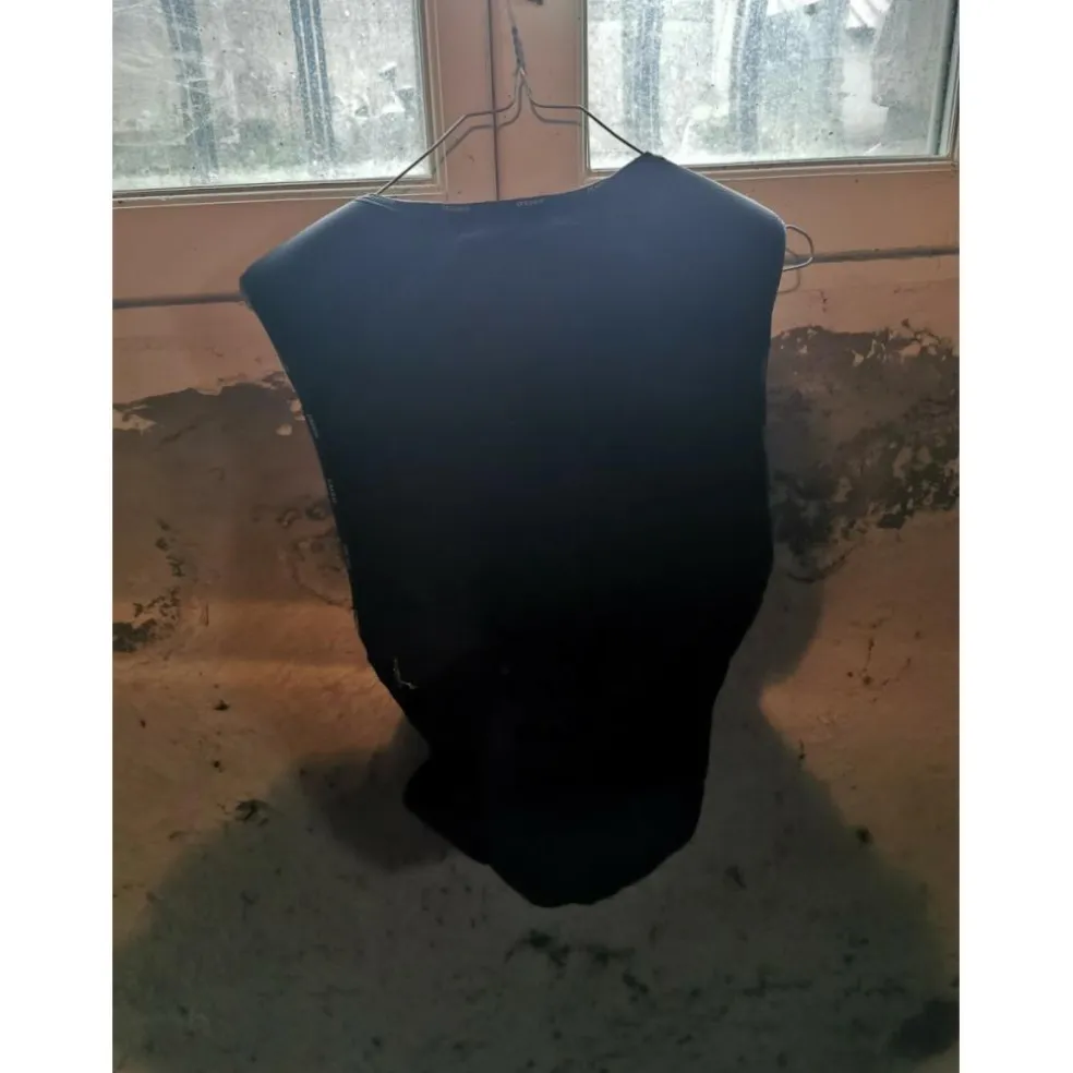 Dorsale Dainese Alter Real Femme