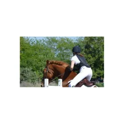 Dorsale Zandona ESATECH ARMOUR PRO EQUITATION X6-7-8