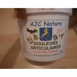 Douleur articulaire