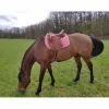 Dressage Darroze 17''