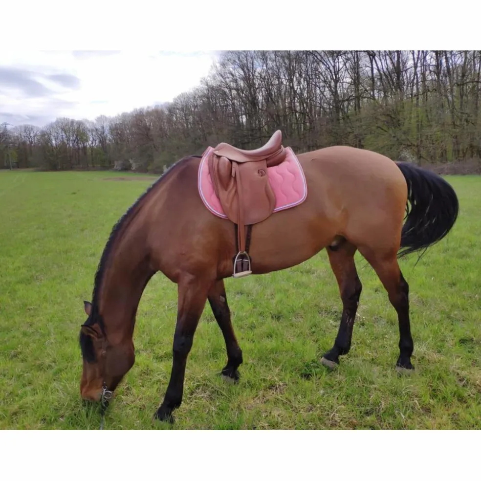 Dressage Darroze 17''