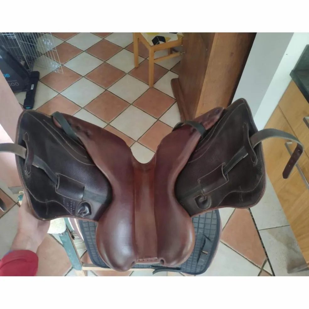 Dressage Darroze 17''