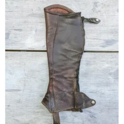 Dyon chaps