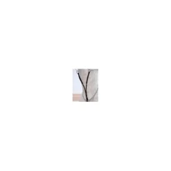 Dyon fourche de martingale