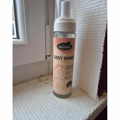 easyshine mousse détachant