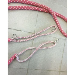 Enrênement taille cheval
