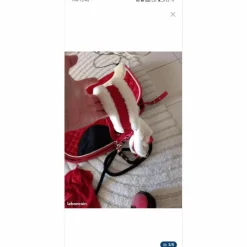 Ensemble accesoire