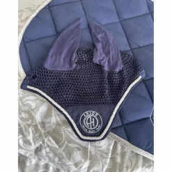 Ensemble ARION