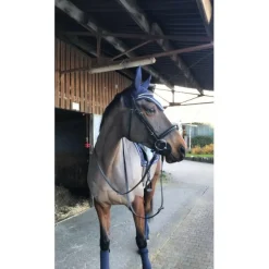 Ensemble bleu marine
