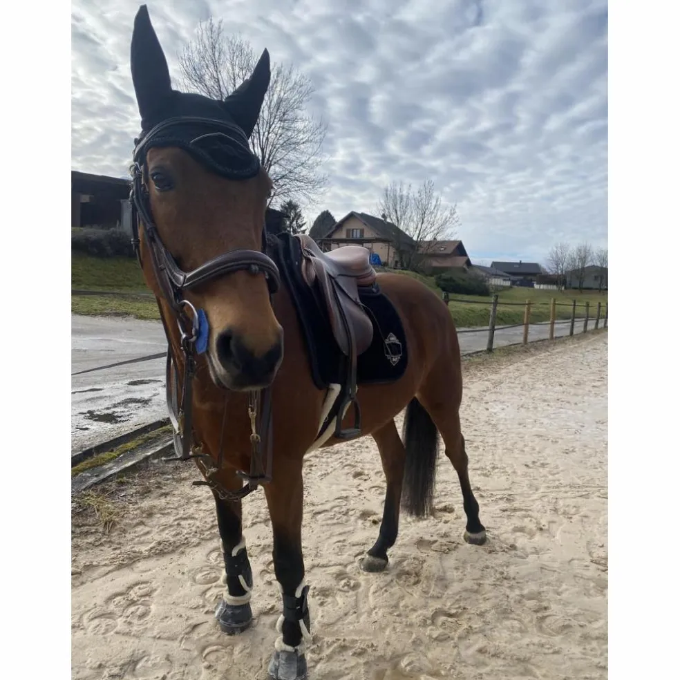 Ensemble bonnet et tapis
