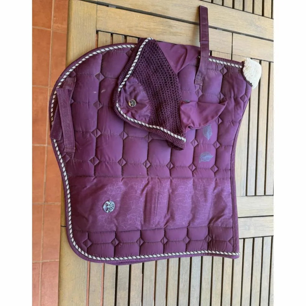Ensemble BR dressage