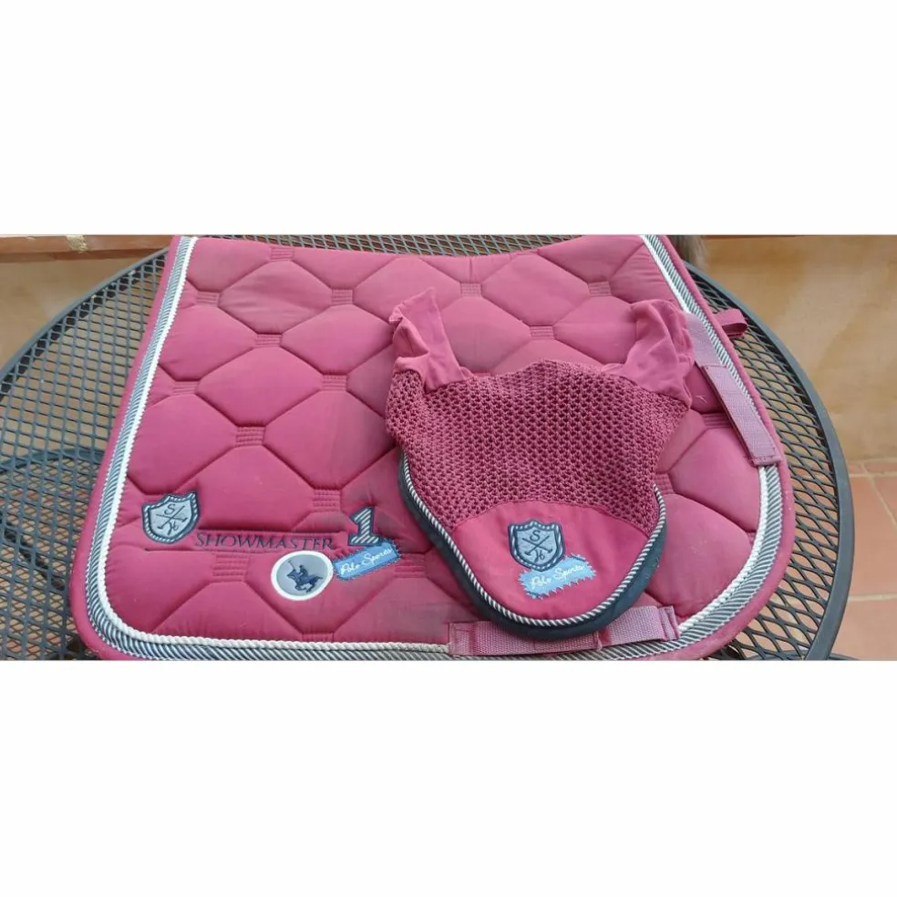 Ensemble Dressage