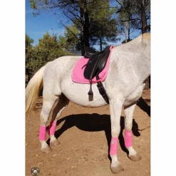 Ensemble dressage HV Polo rose tapis-bonnet-bandes
