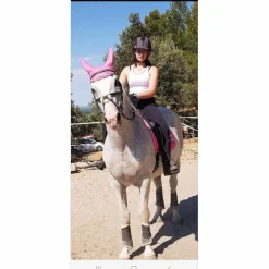 Ensemble dressage HV Polo rose tapis-bonnet-bandes