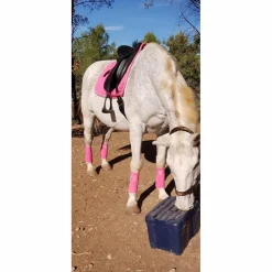 Ensemble dressage HV Polo rose tapis-bonnet-bandes