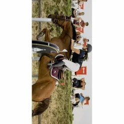 Ensemble Equestrian Stockholm