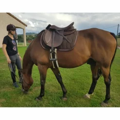Ensemble equi