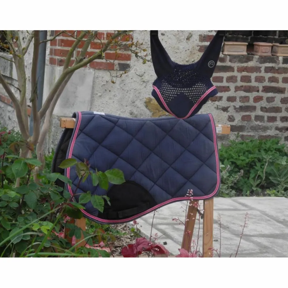 Ensemble equitheme