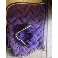 ensemble equitheme violet