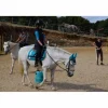 Ensemble Equithème