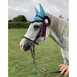 ensemble equithème bleu