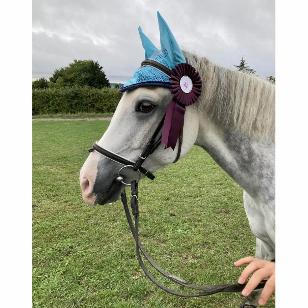 ensemble equithème bleu