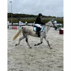 ensemble equithème bleu