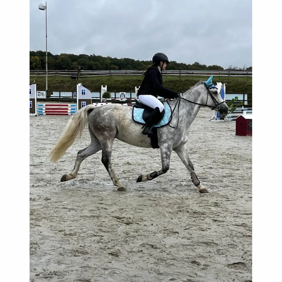 ensemble equithème bleu