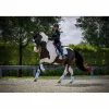Ensemble Equito dressage Morning sky