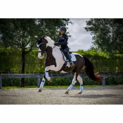 Ensemble Equito dressage Morning sky