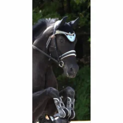 Ensemble Equito dressage Morning sky