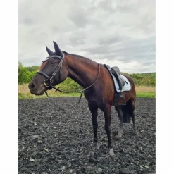Ensemble Equito dressage Morning sky