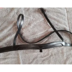 Ensemble Frontal/Muserolle