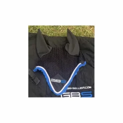 Ensemble GBS