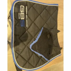 Ensemble GBS