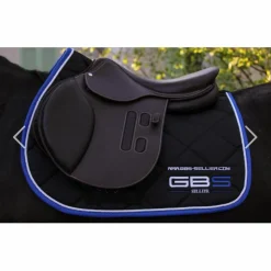 Ensemble GBS