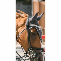 Ensemble GEM