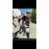 ensemble jumpin prune
