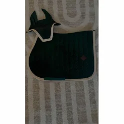 Ensemble kentucky
