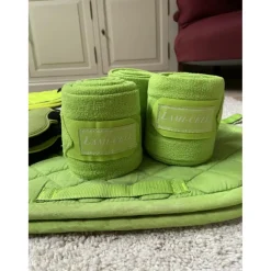 Ensemble Lami cell vert